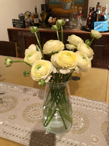 TLC- Tender Love for Cut flowers